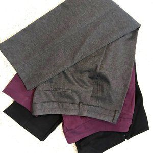 3 Chico's pants, Chico's size 2.5, 3 pairs, new like cond., size 12 /14, large